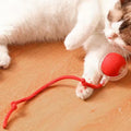 Interactive Automatic Cat Toy