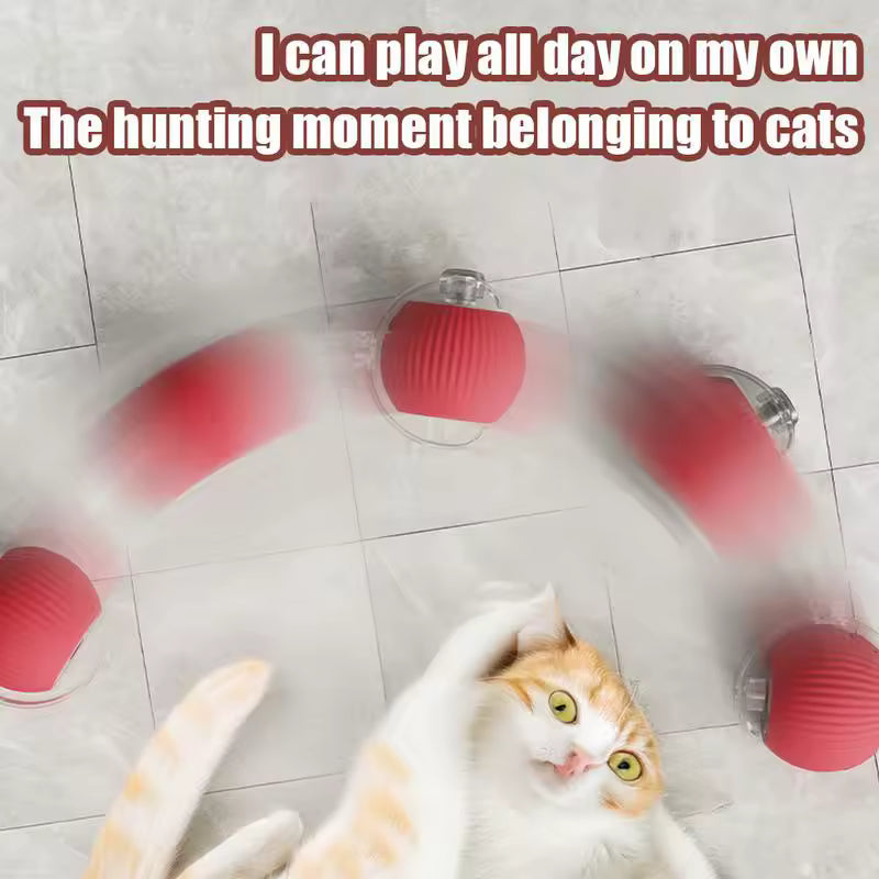Interactive Automatic Cat Toy