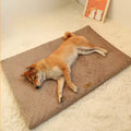 Orthopedic Memory Foam Pet Bed