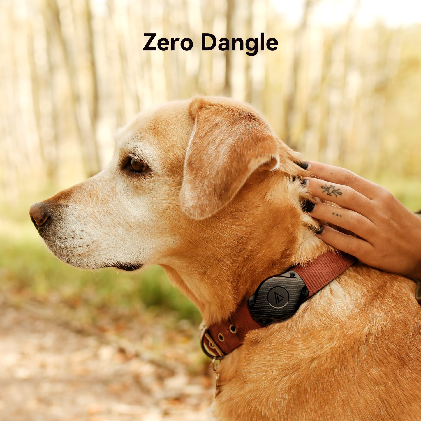 GPS Pet Tracker Collar Attachment