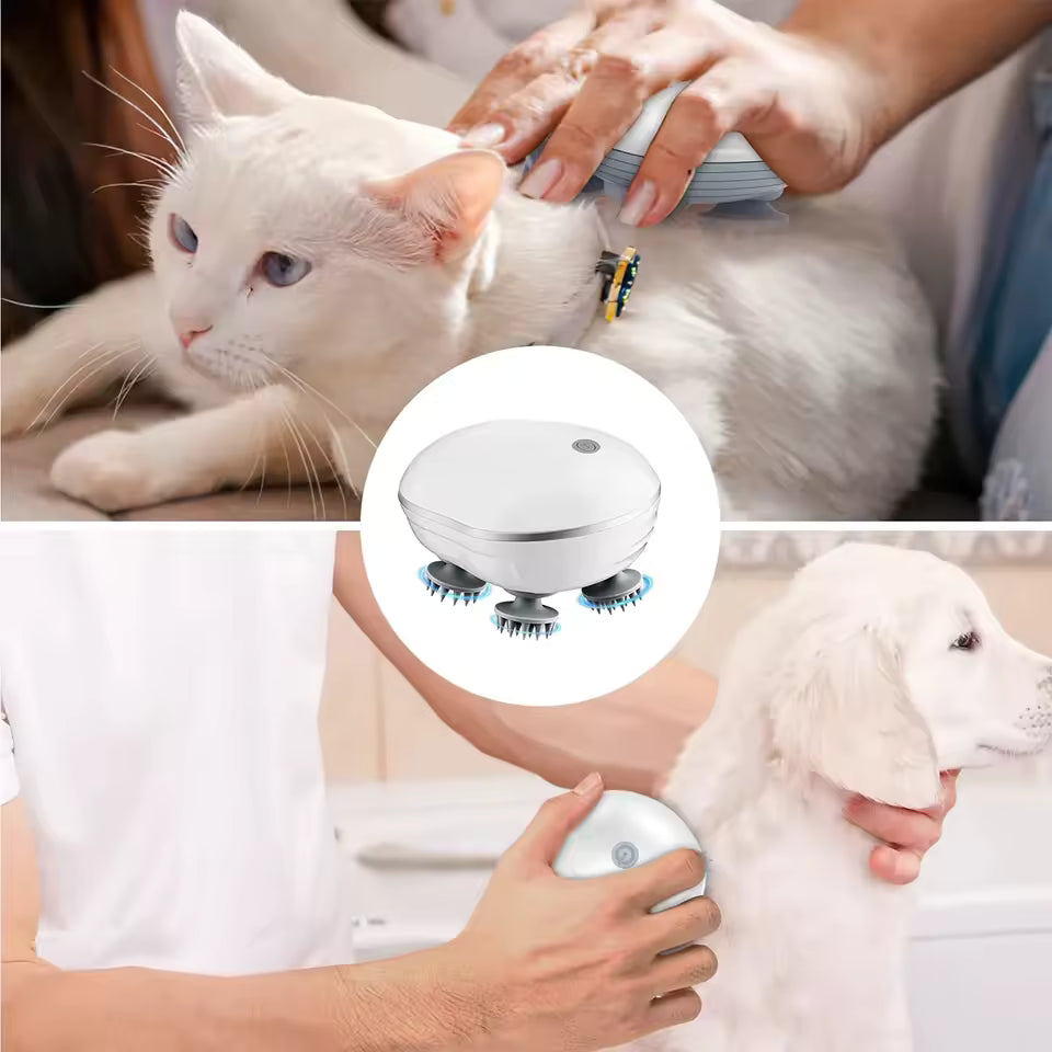 Electric Scalp Massager