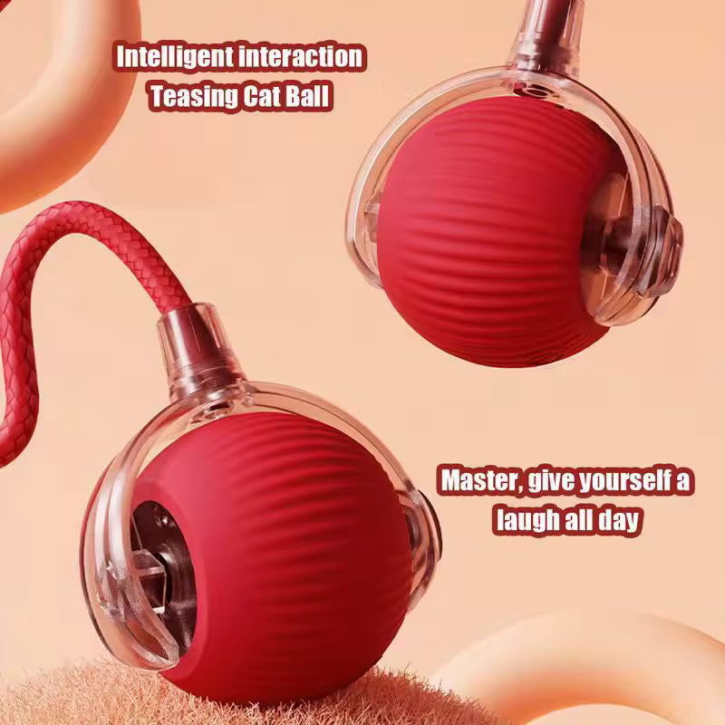Interactive Automatic Cat Toy