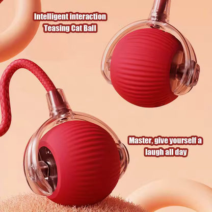 Interactive Automatic Cat Toy